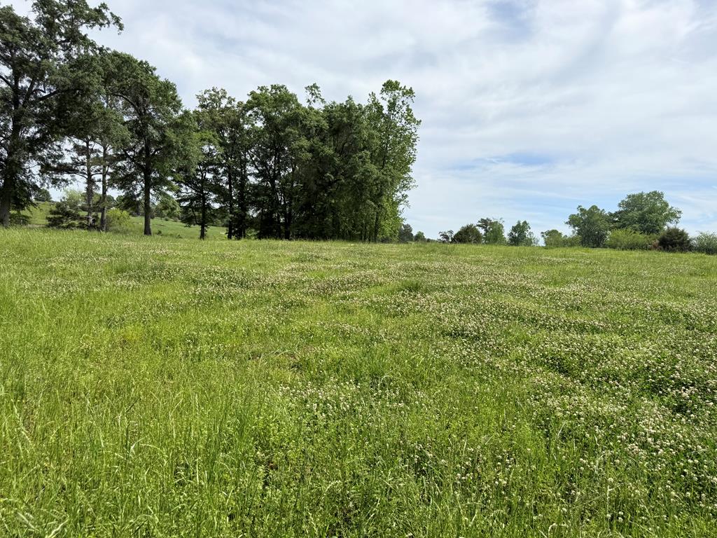 691 County Road 3310