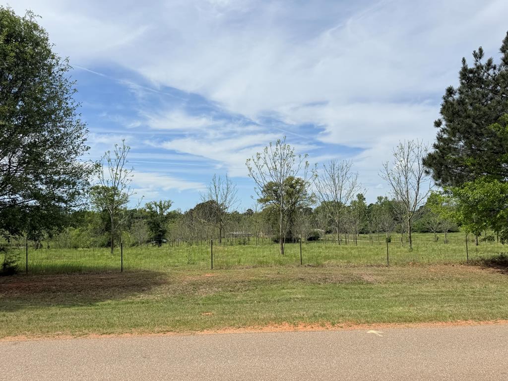 691 County Road 3310