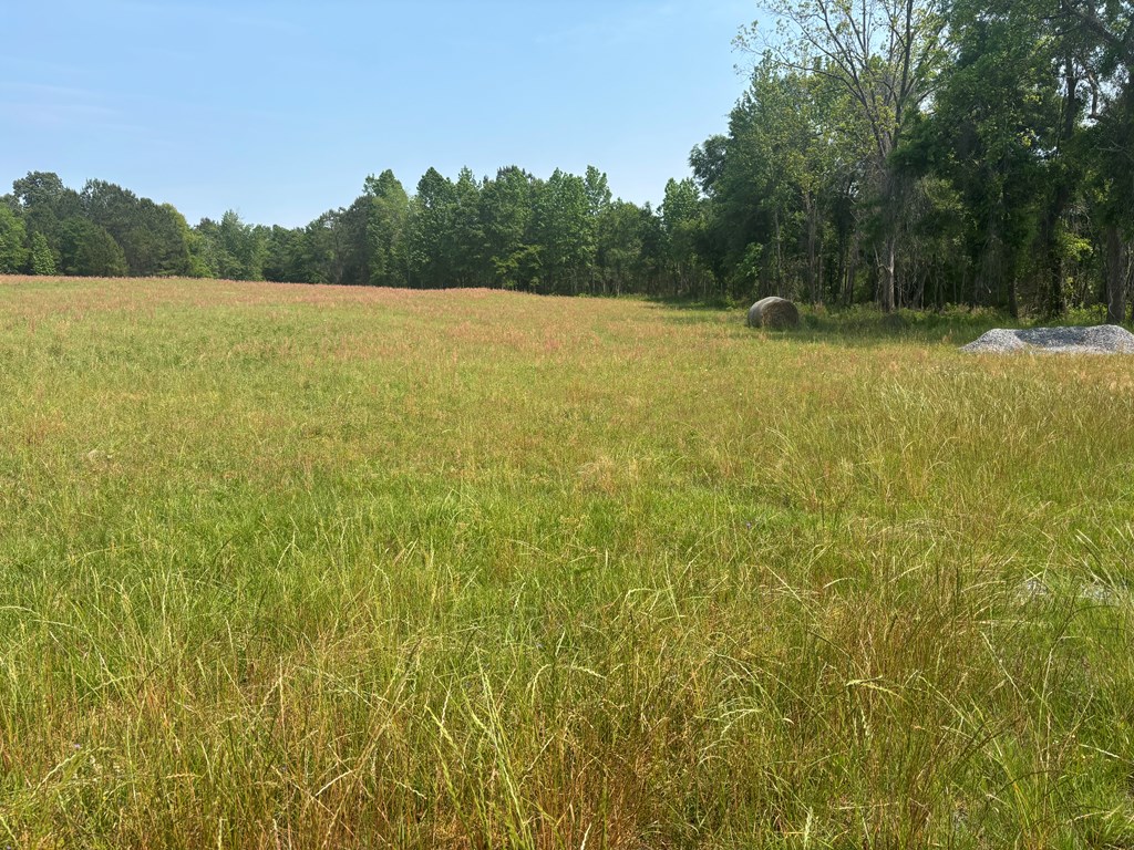 3390 County Road 3339