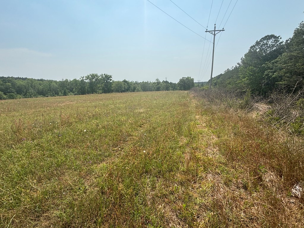 3390 County Road 3339