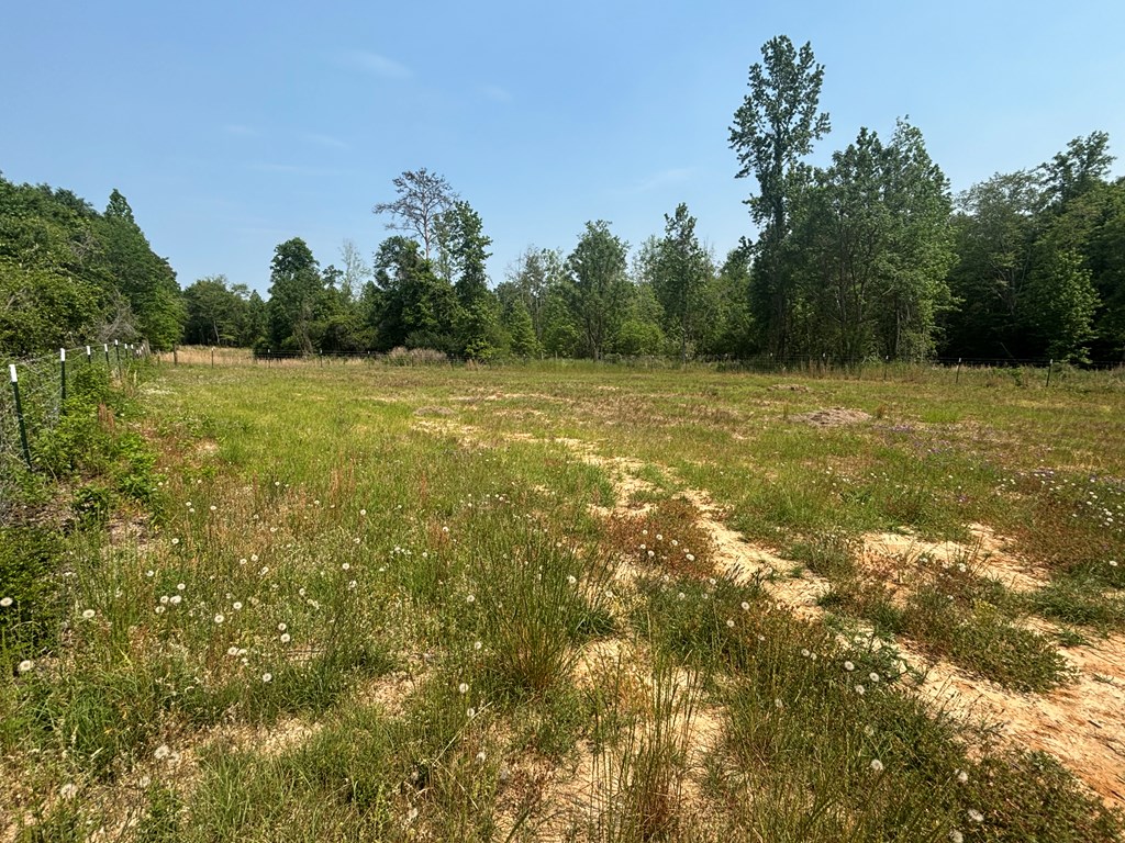 3390 County Road 3339