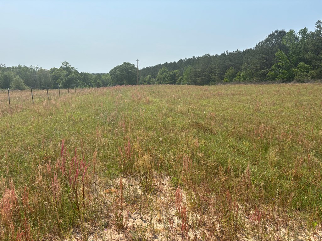 3390 County Road 3339
