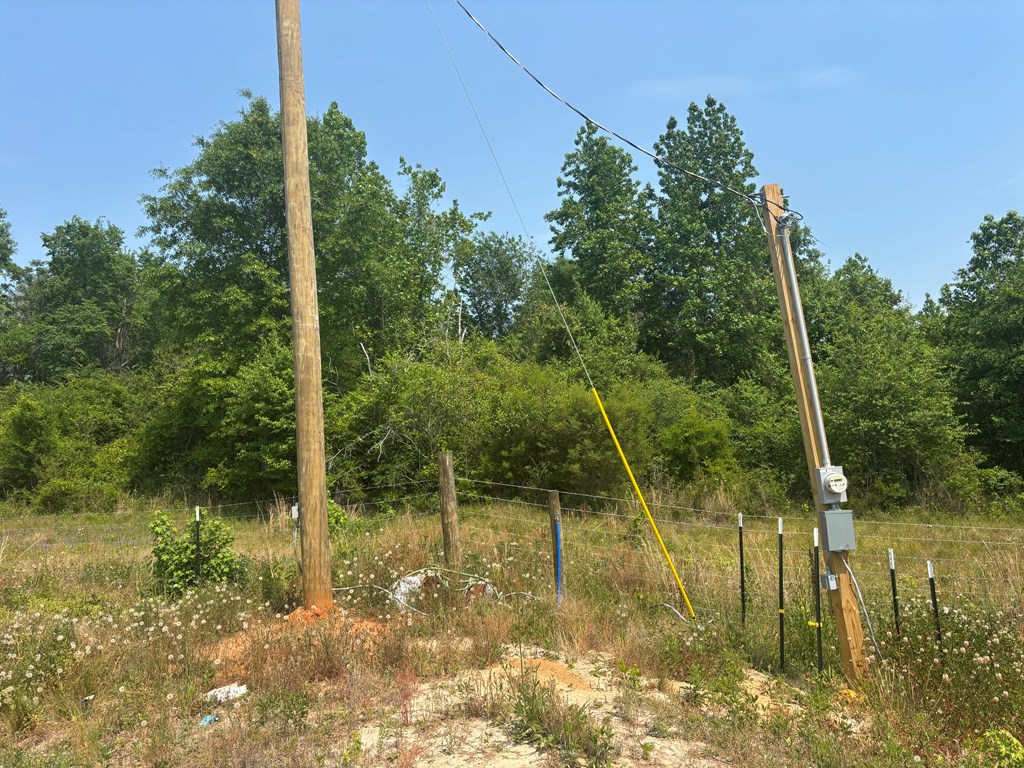 3390 County Road 3339