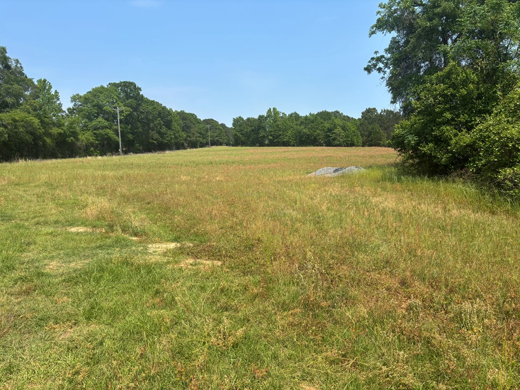 3390 County Road 3339