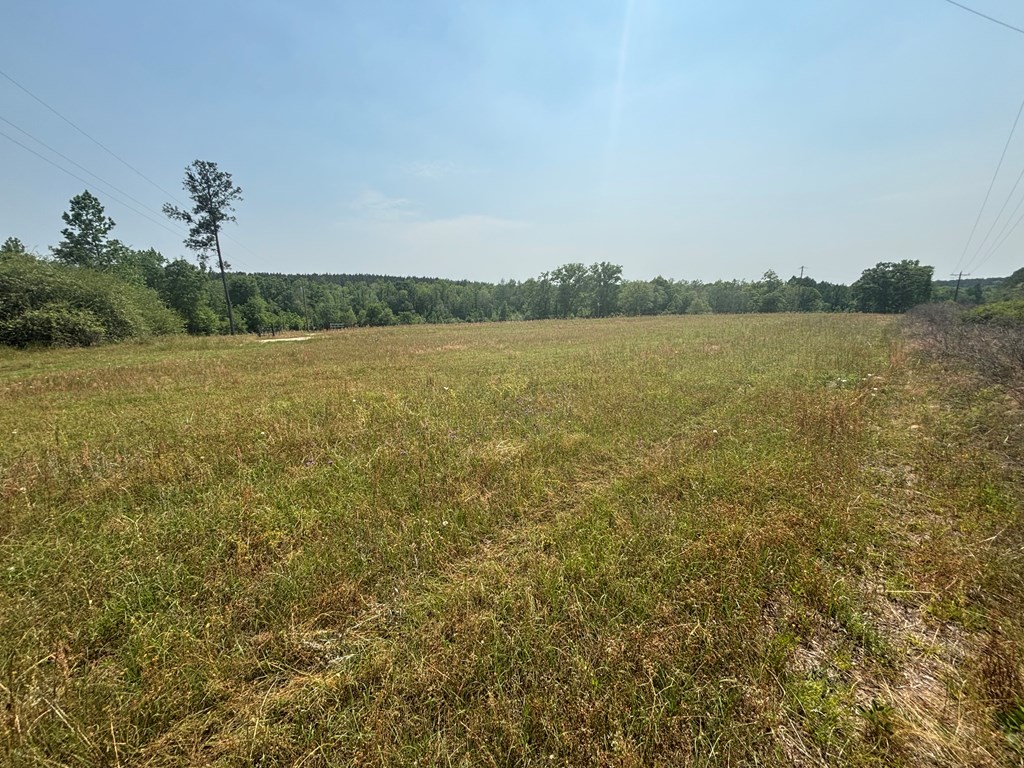 3390 County Road 3339