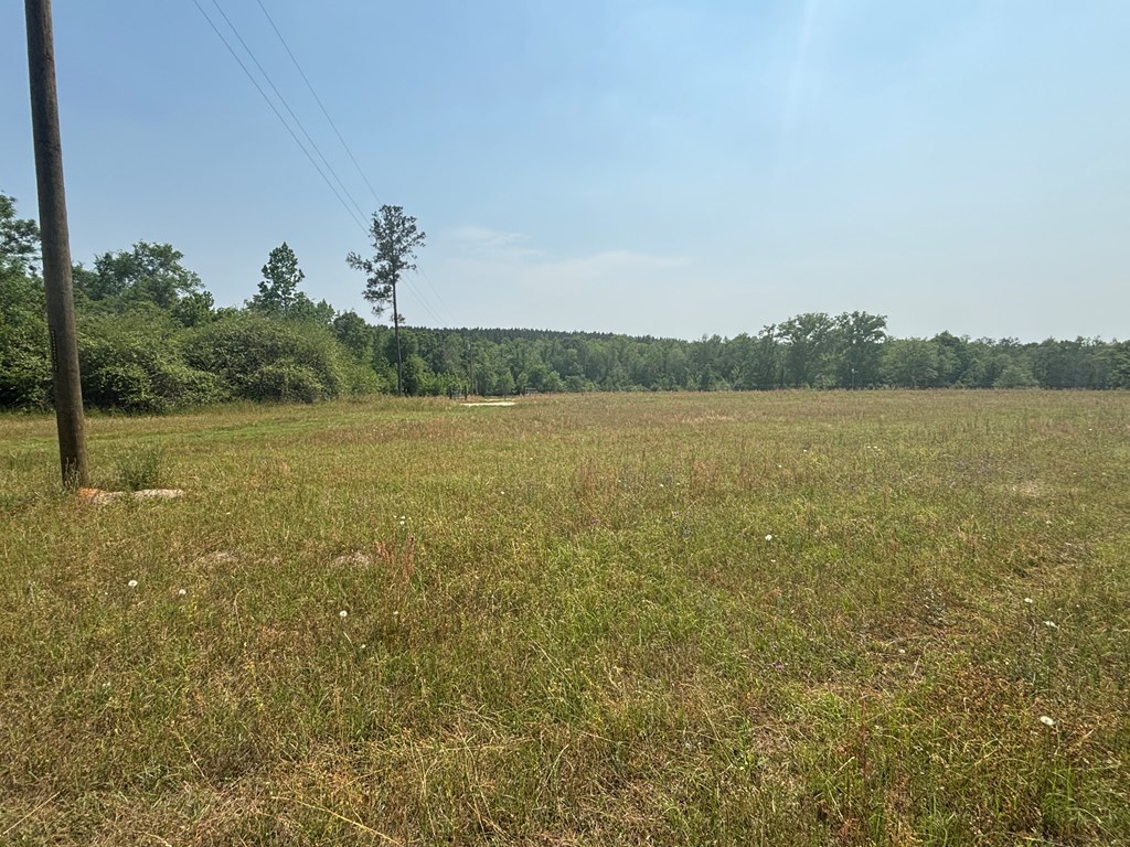 3390 County Road 3339