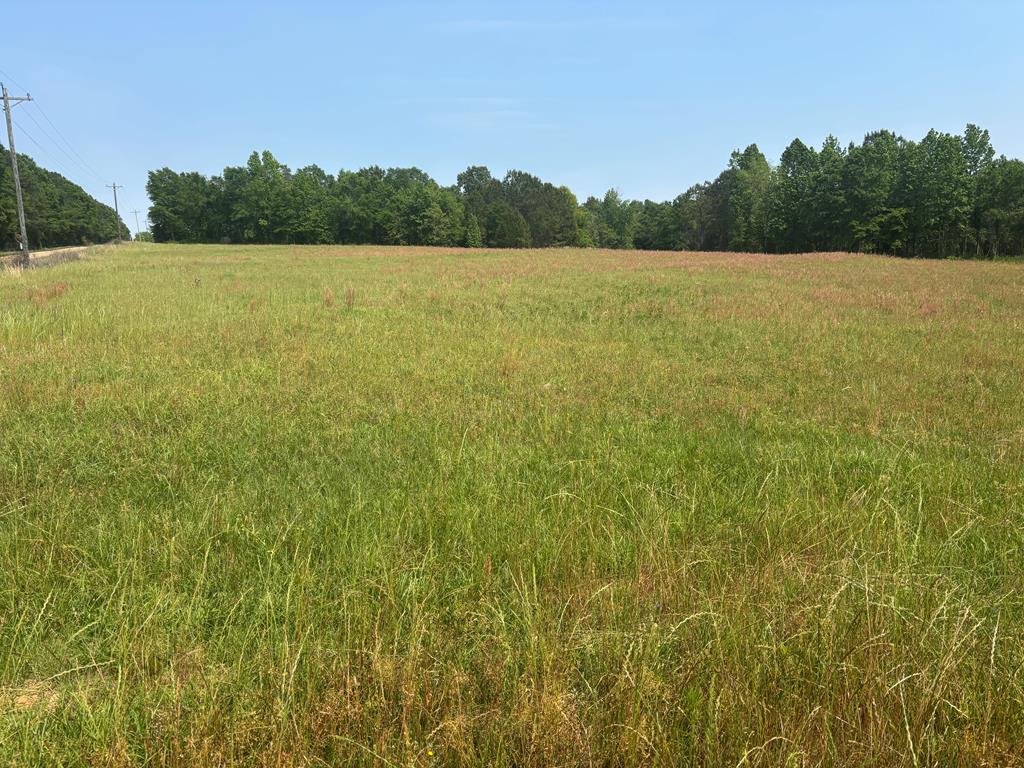3390 County Road 3339