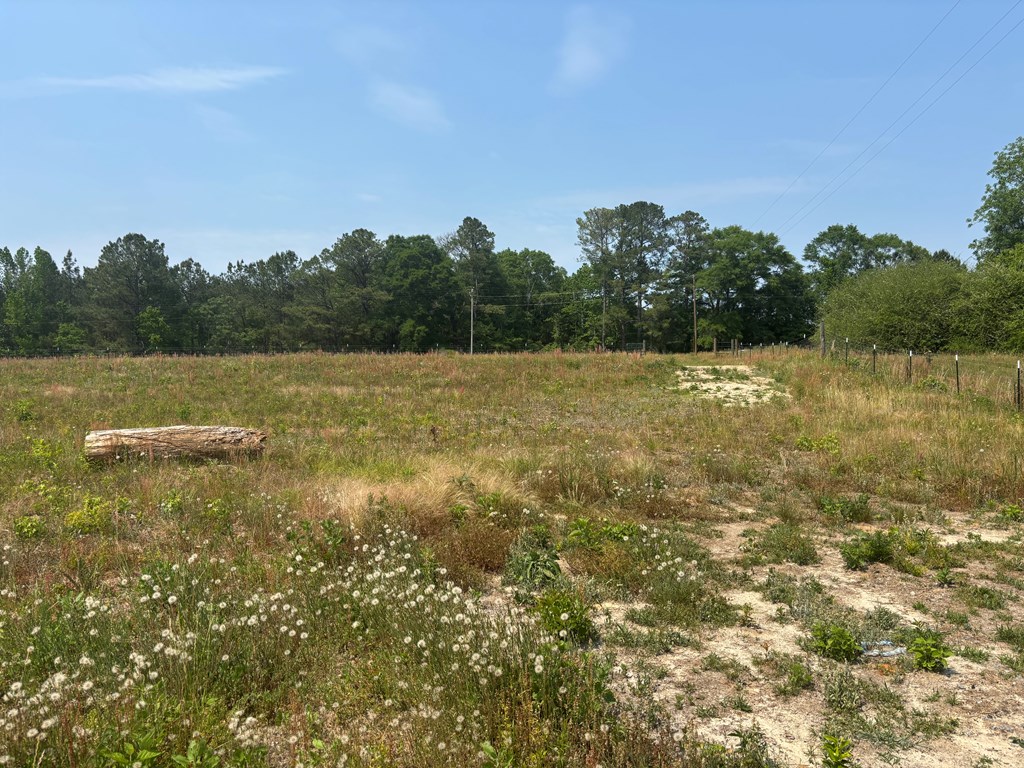 3390 County Road 3339