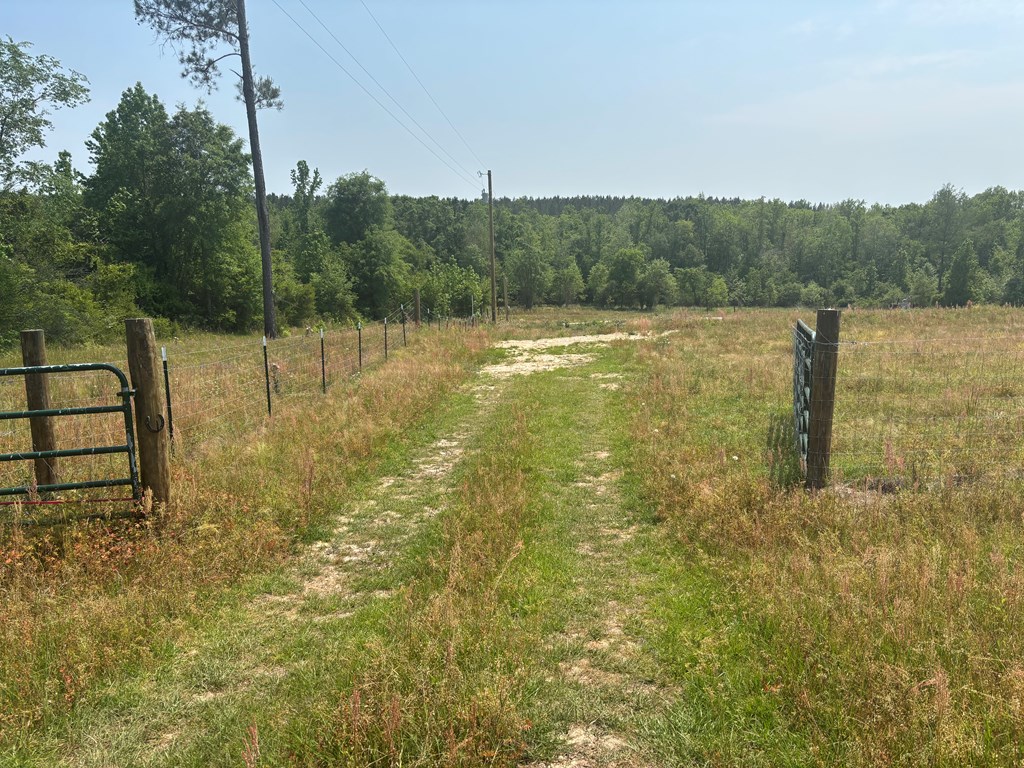 3390 County Road 3339