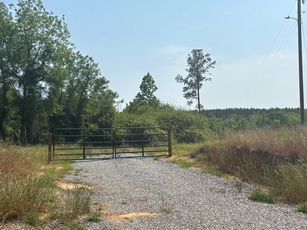 3390 County Road 3339