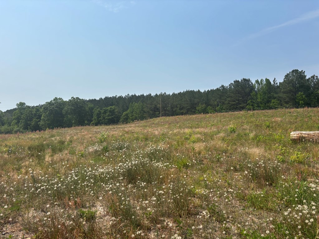 3390 County Road 3339