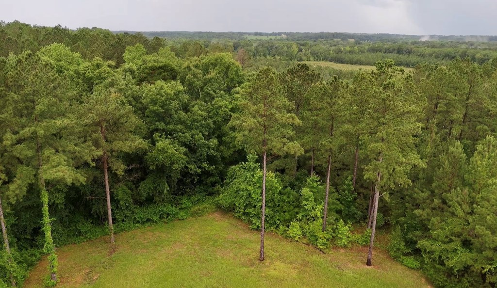 368 River Road