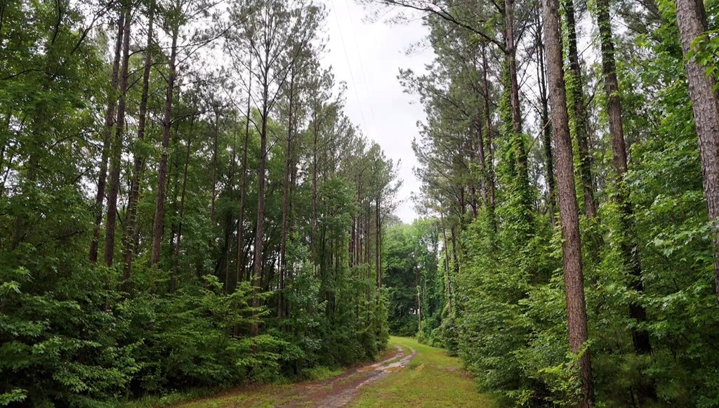 368 River Road