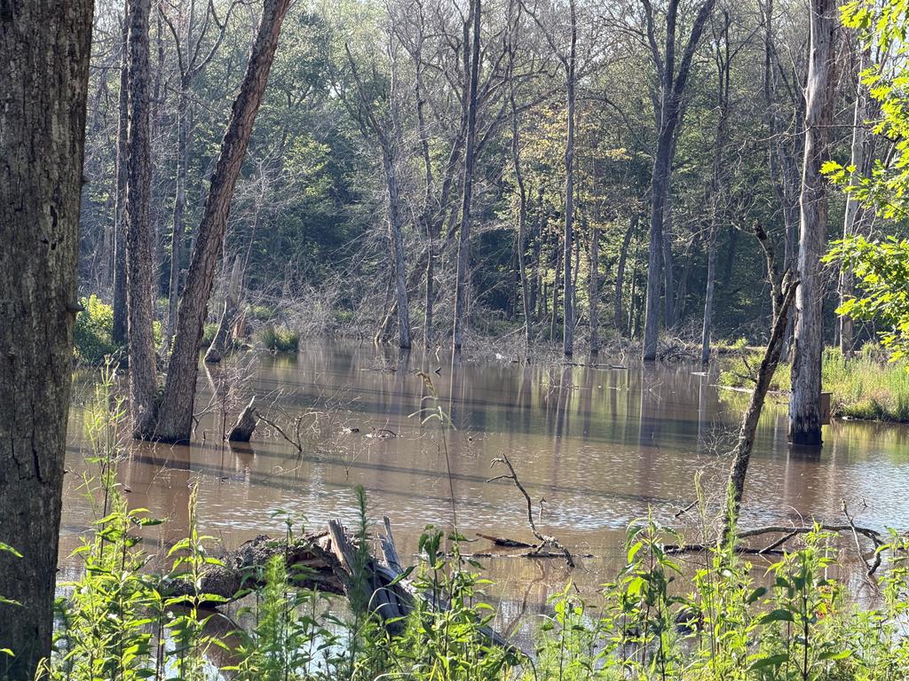 1100 University Avenue