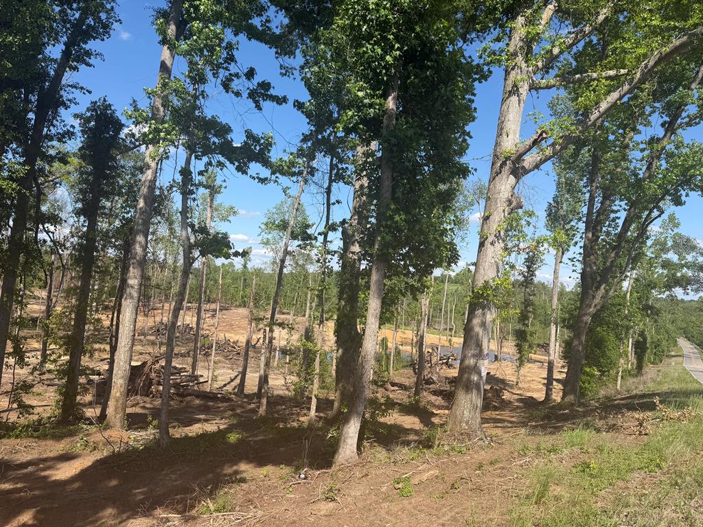 0 County Road 5509