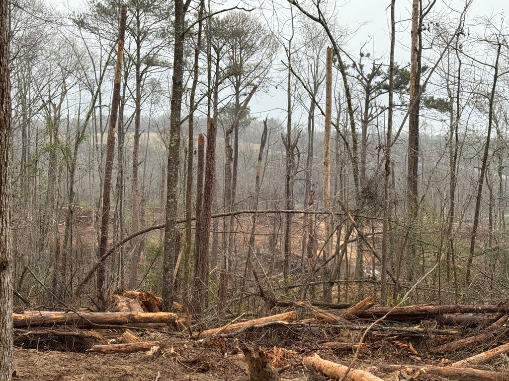 0 County Road 5509