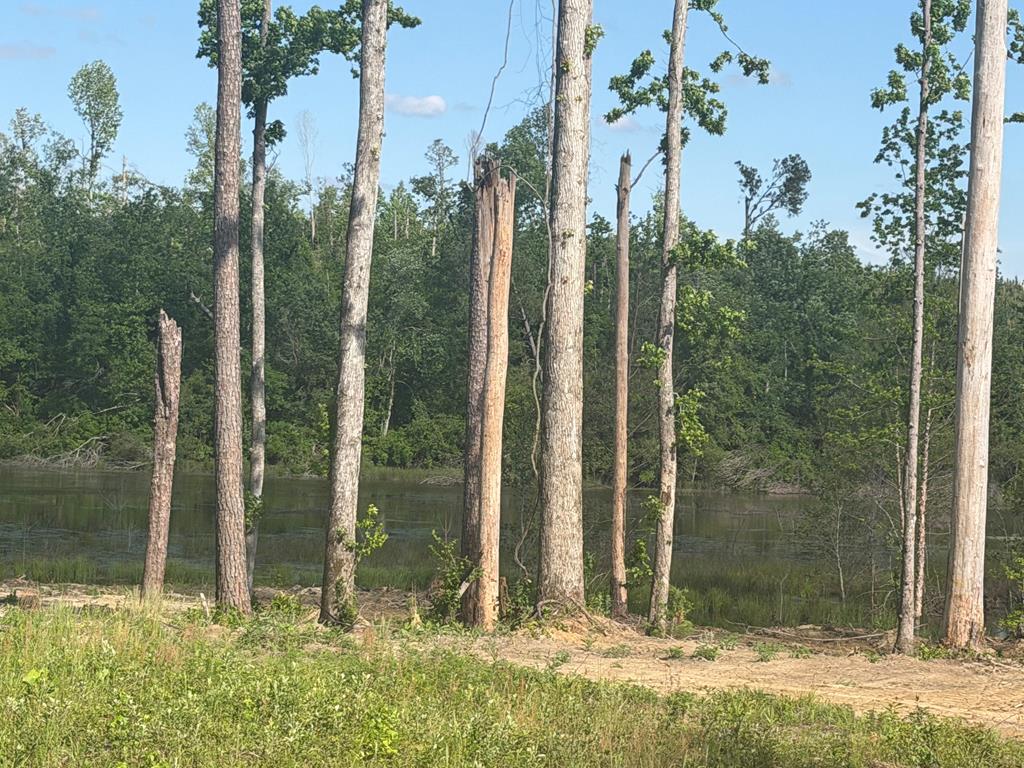 0 County Road 5509