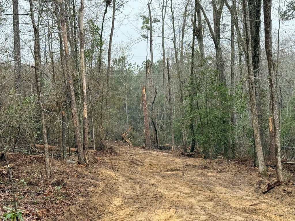 0 County Road 5509