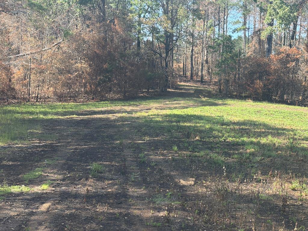 0 County Road 5509