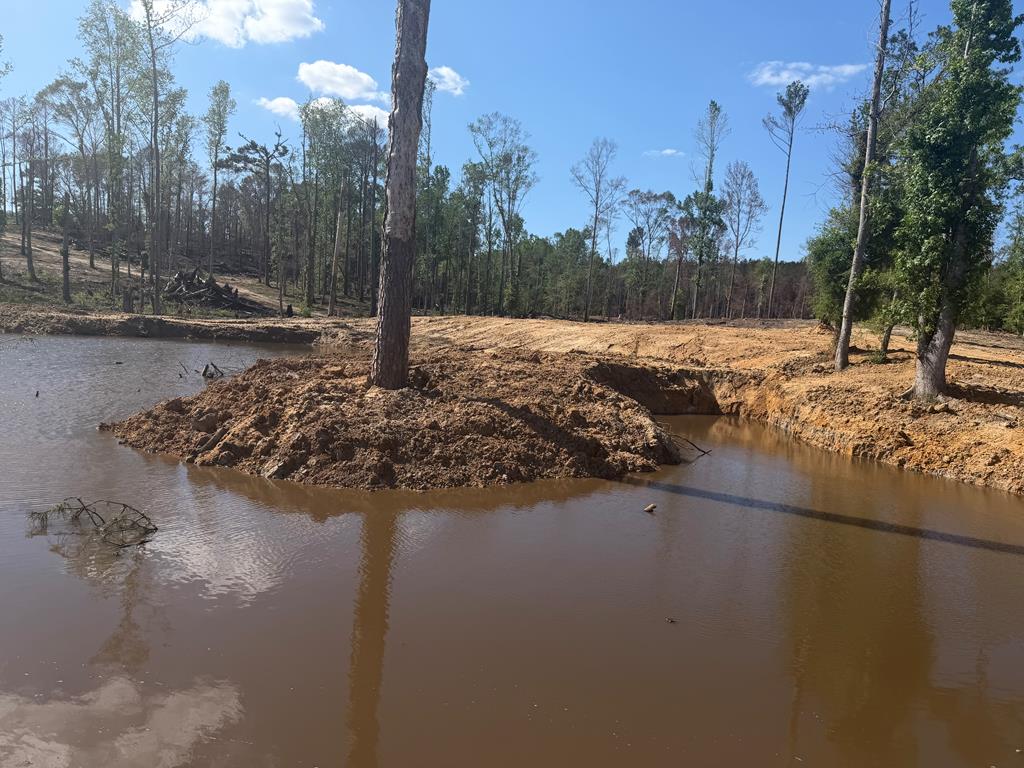 0 County Road 5509