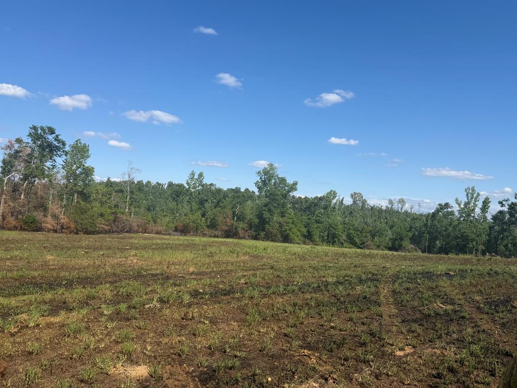 0 County Road 5509