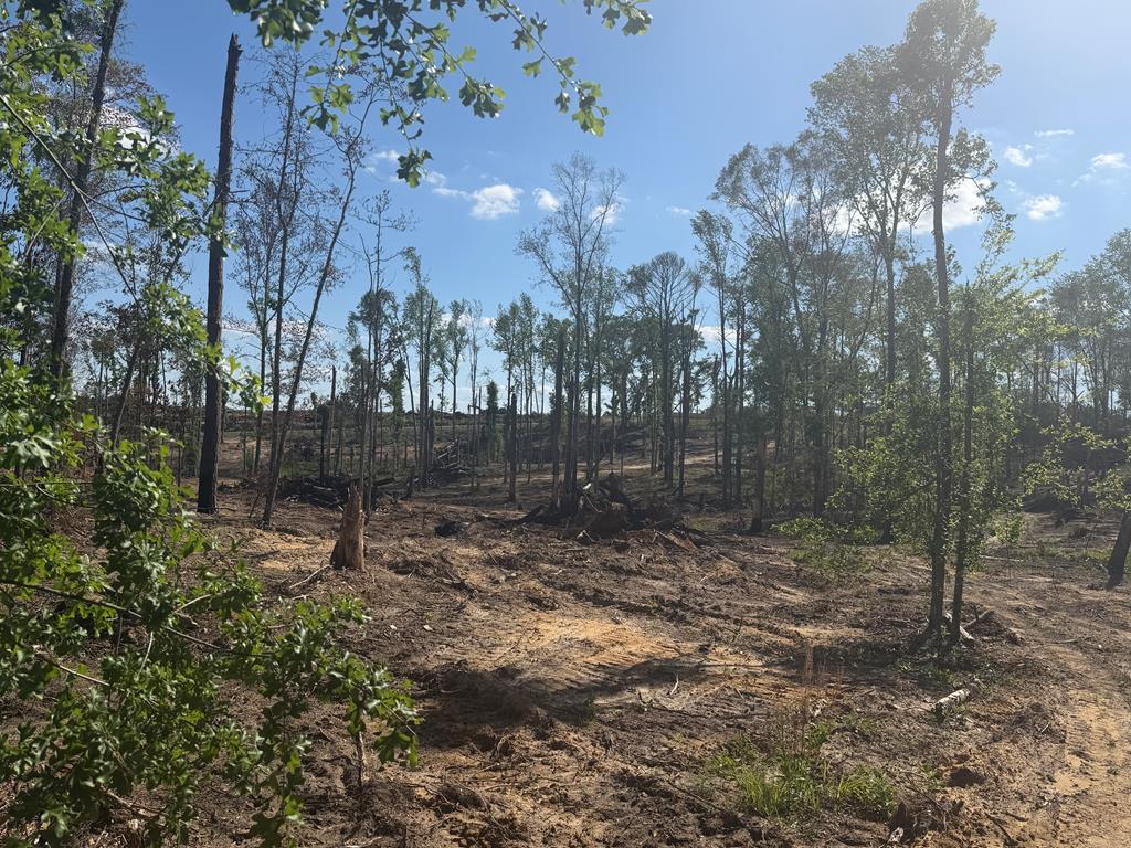 0 County Road 5509