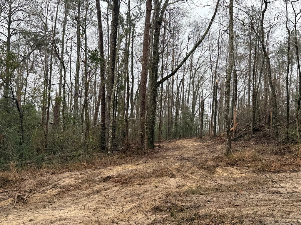 0 County Road 5509
