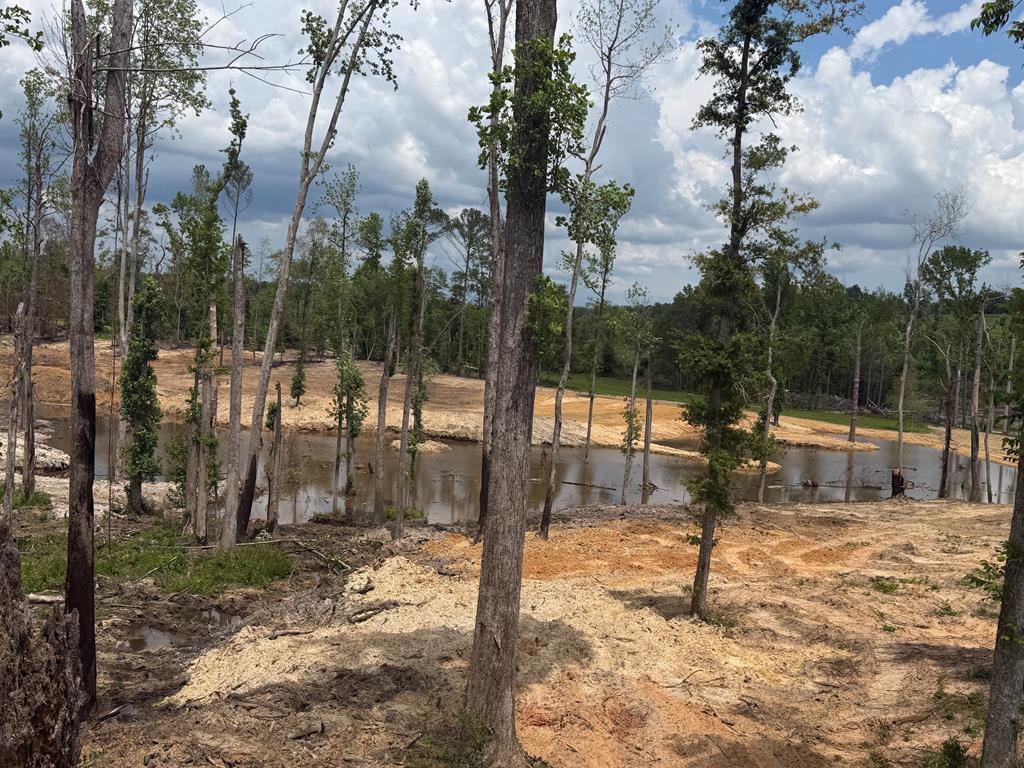 0 County Road 5509