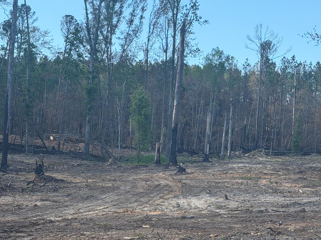 0 County Road 5509