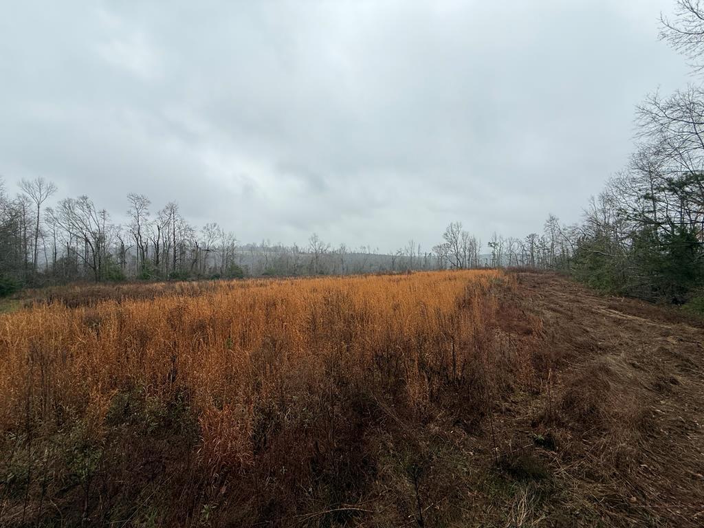 0 County Road 5509