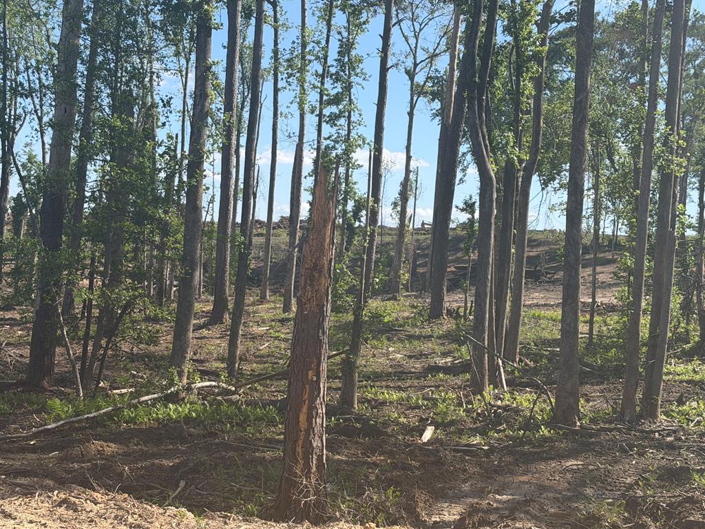 0 County Road 5509