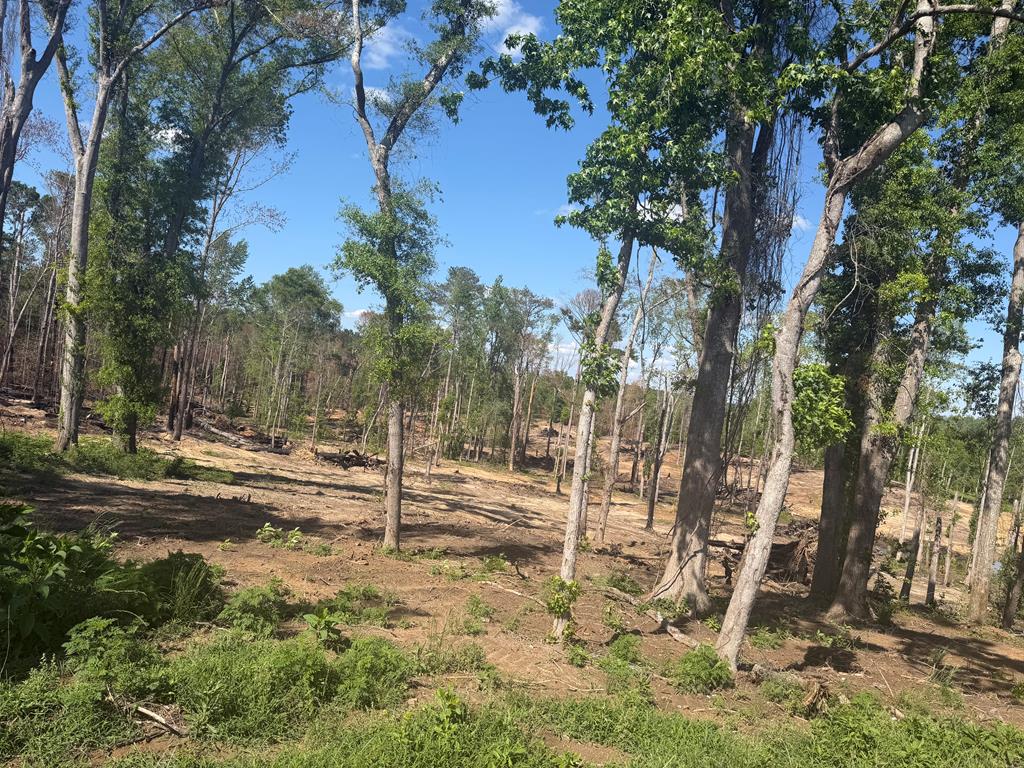 0 County Road 5509