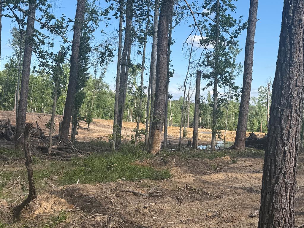 0 County Road 5509