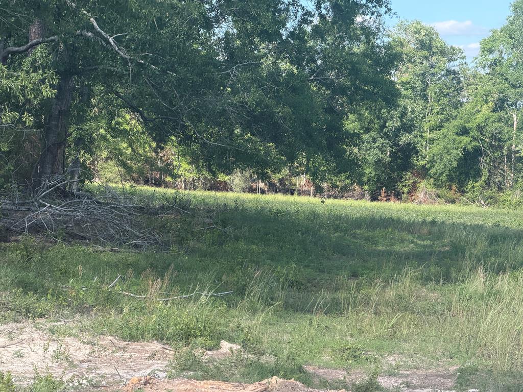 0 County Road 5509