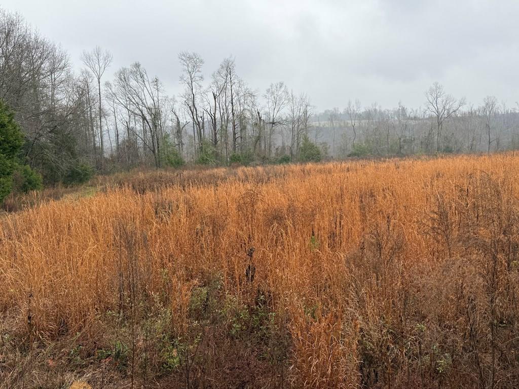 0 County Road 5509