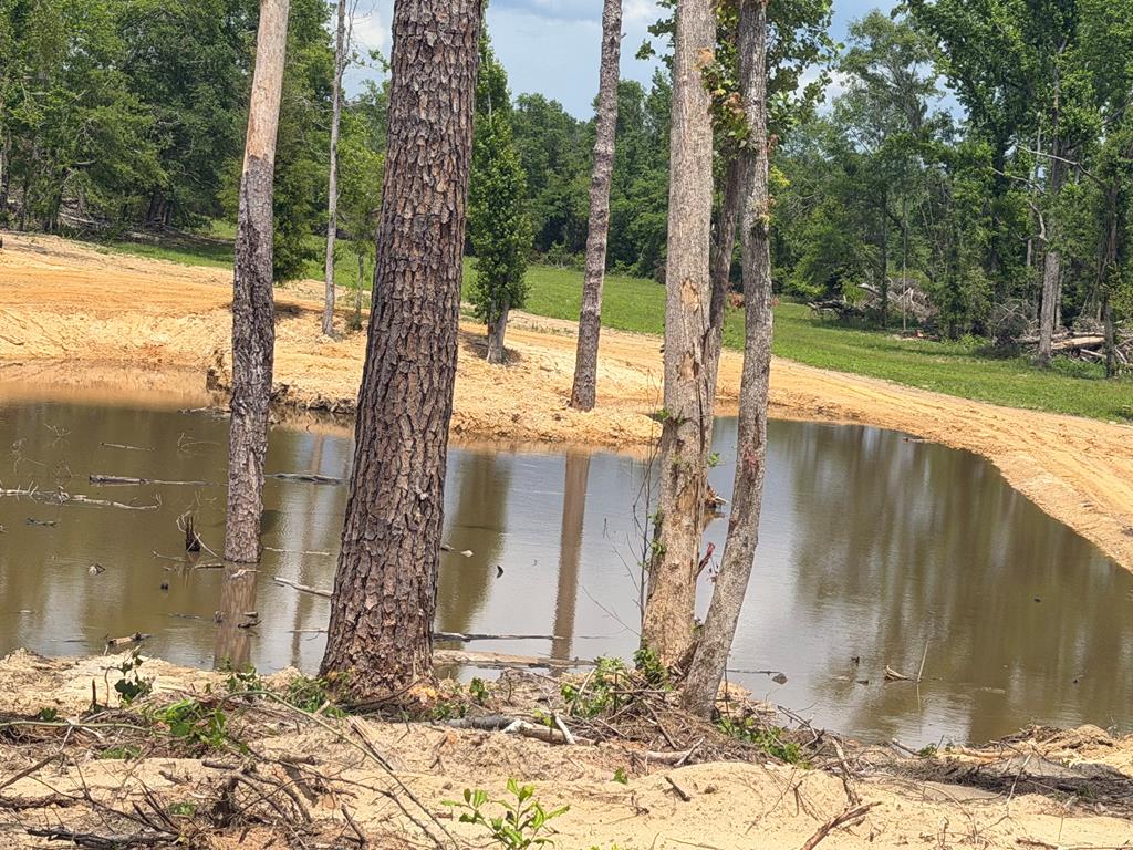 0 County Road 5509