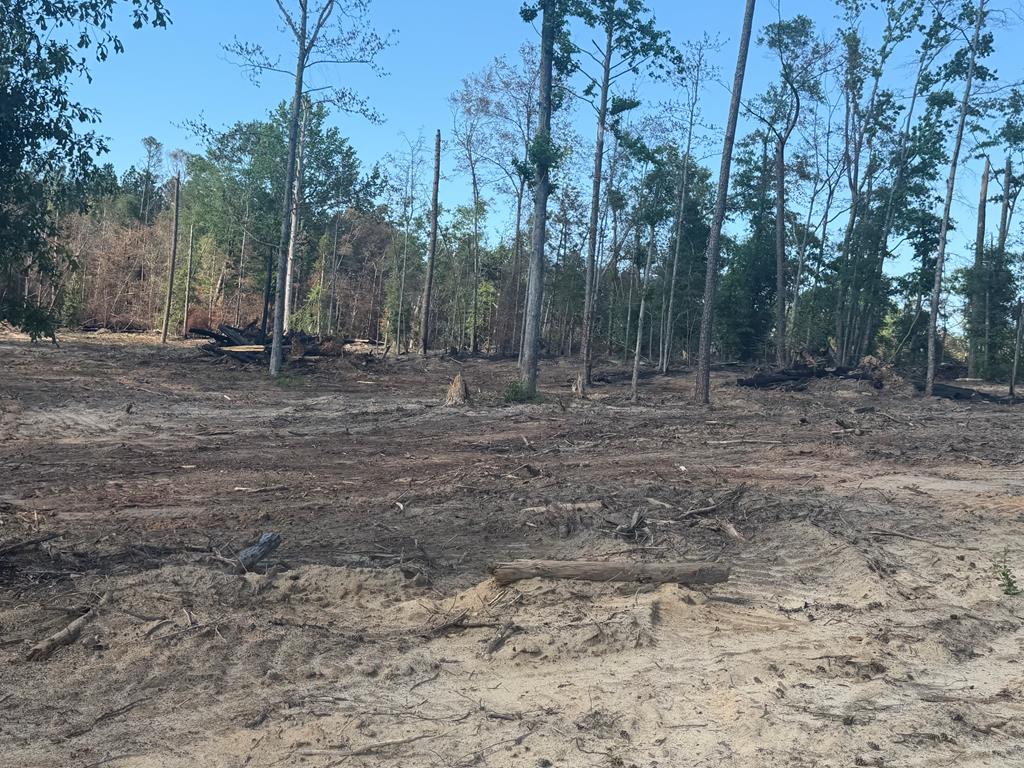 0 County Road 5509