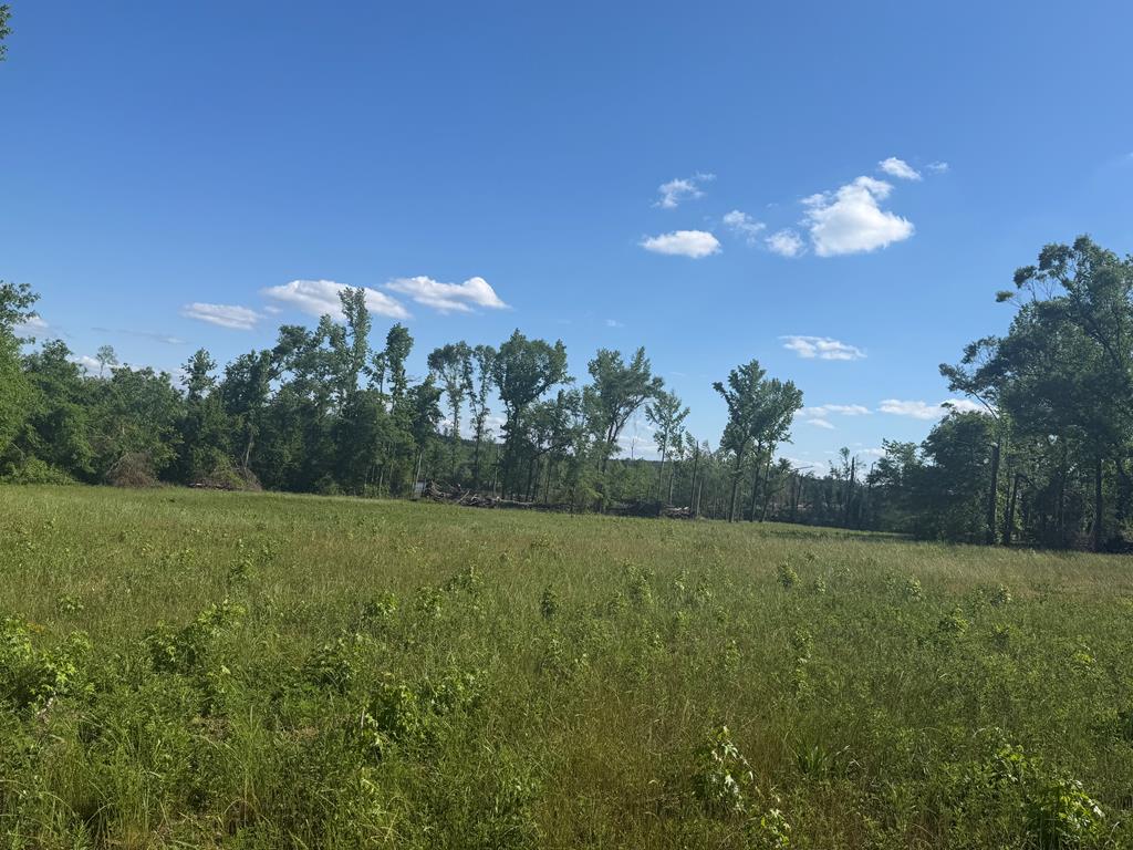0 County Road 5509