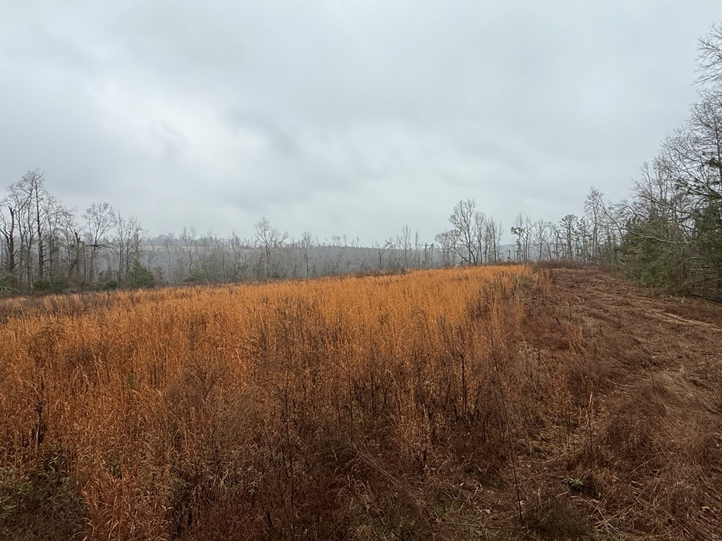 0 County Road 5509