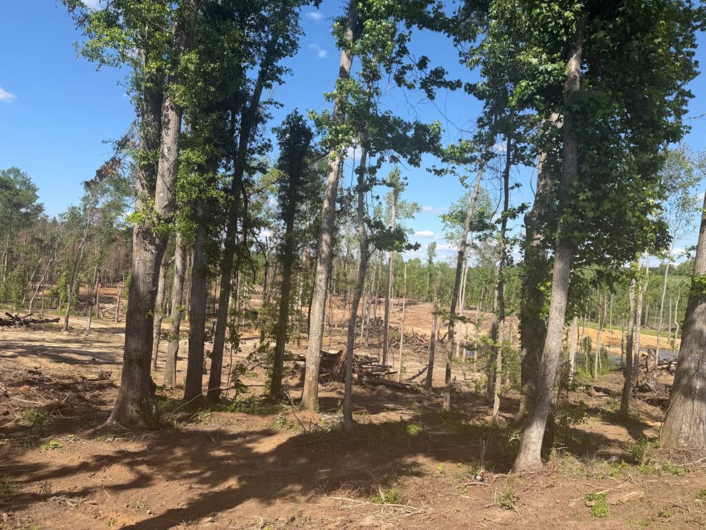 0 County Road 5509