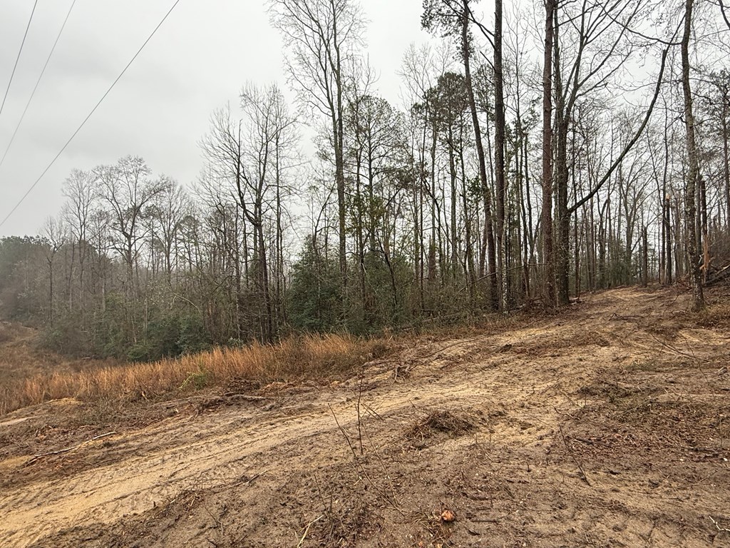 0 County Road 5509