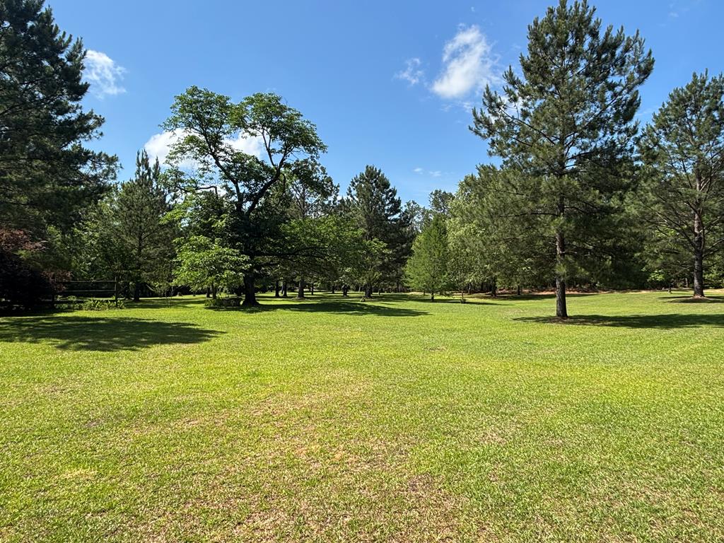 1191 County Road 1116
