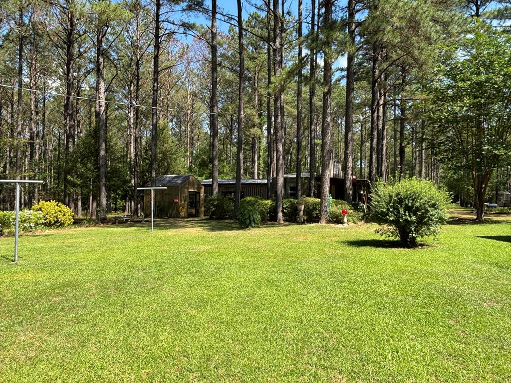 1191 County Road 1116