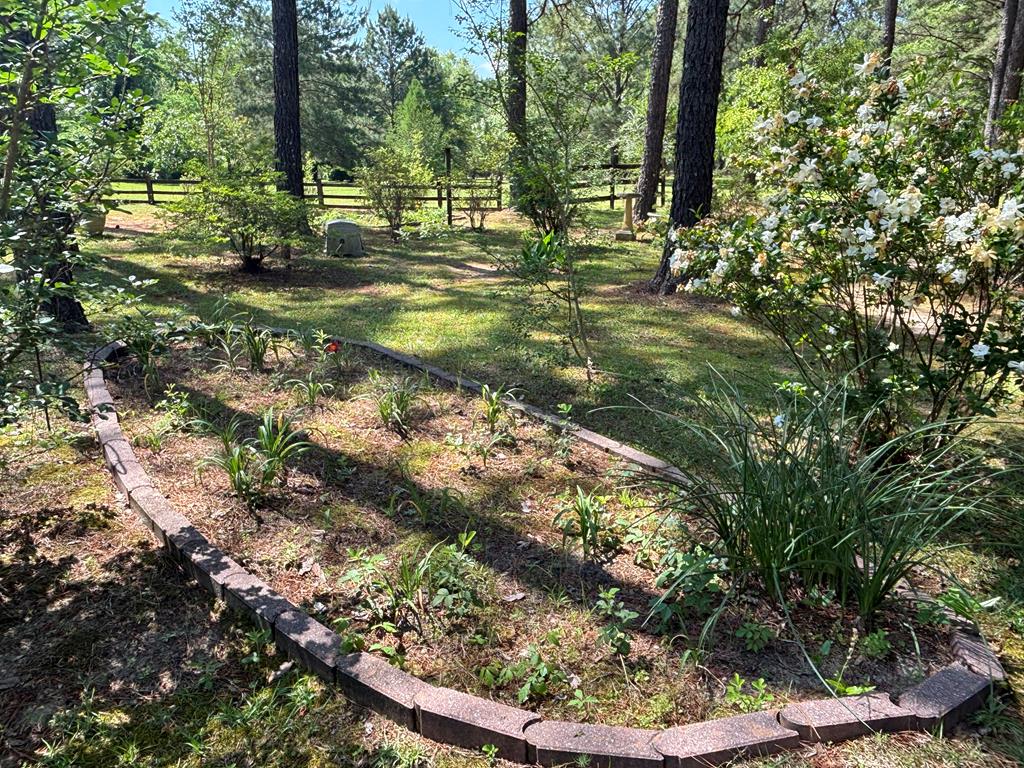 1191 County Road 1116