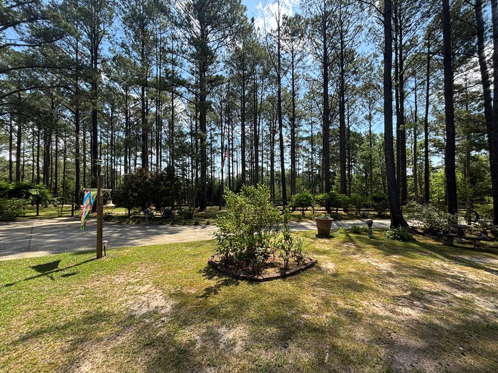1191 County Road 1116