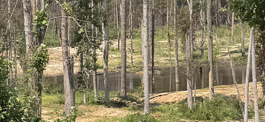 0 County Road 5509