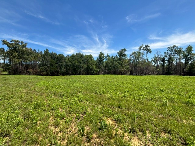 0 County Road 5509