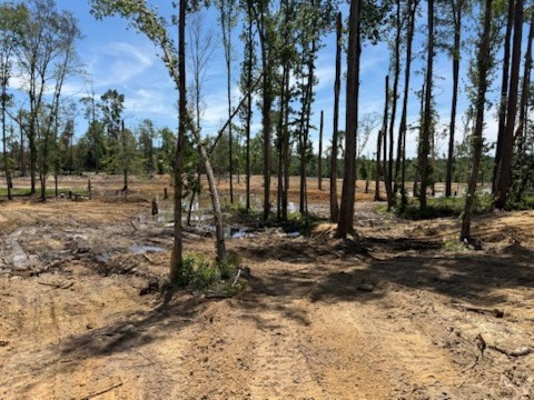 0 County Road 5509