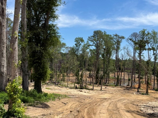 0 County Road 5509