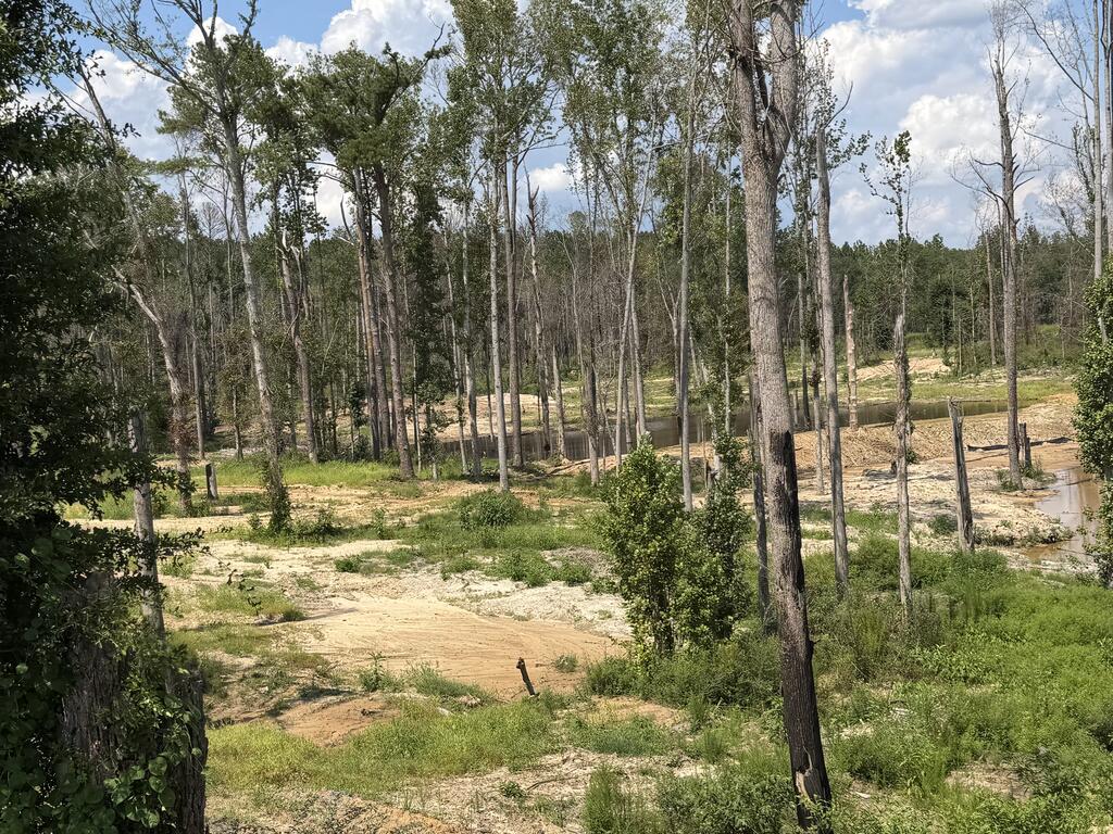 0 County Road 5509